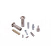 Rivet screw assembly