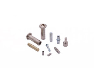 Rivet screw assembly