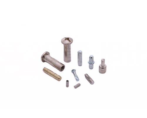 Rivet screw assembly